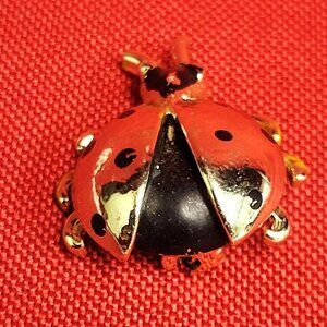 Ladybug Brooch Domed Back Separated Wing 3D